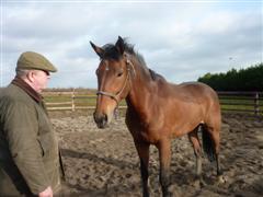 Noddy 5