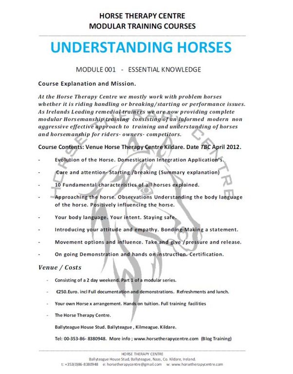 FLYER UDH