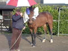 Noddy 7